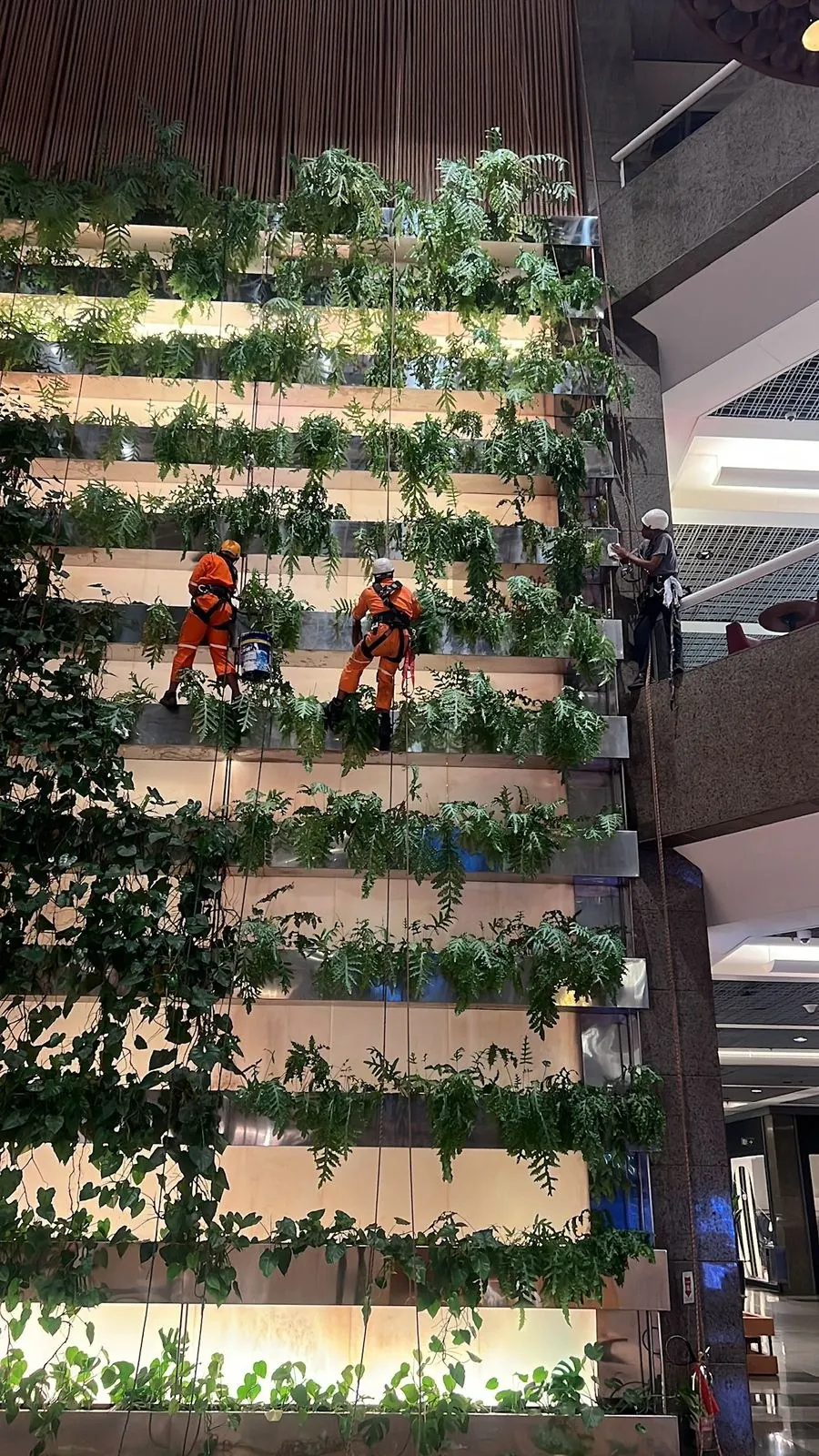 Fotografia de trabalho técnico de manutenção predial da JFS Empreiteira